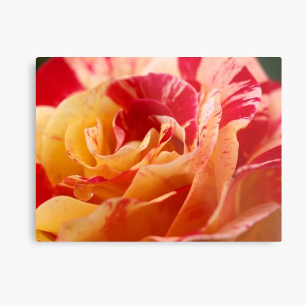 Impressionist Inspiration Metal Print