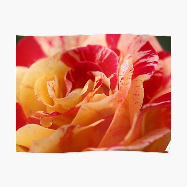 Impressionist Inspiration Poster