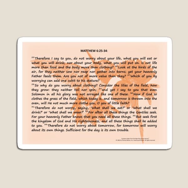 Bible Verses Card - Matthew 6:25-34 Magnet
