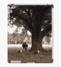 A Good Season, Uralla, Northern Tablelands, NSW, Australia iPad Case/Skin