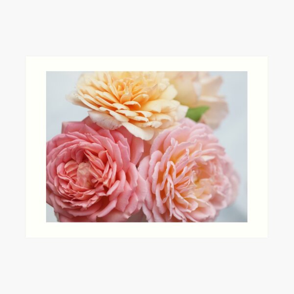 A Beautiful Bunch Art Print