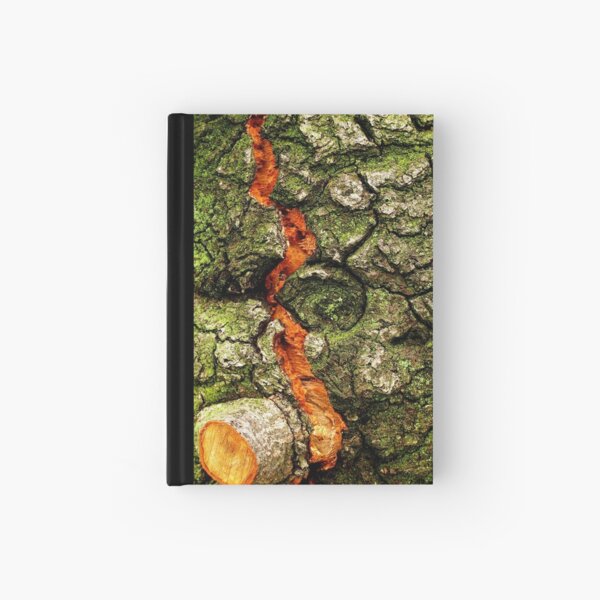 FISSURE Hardcover Journal