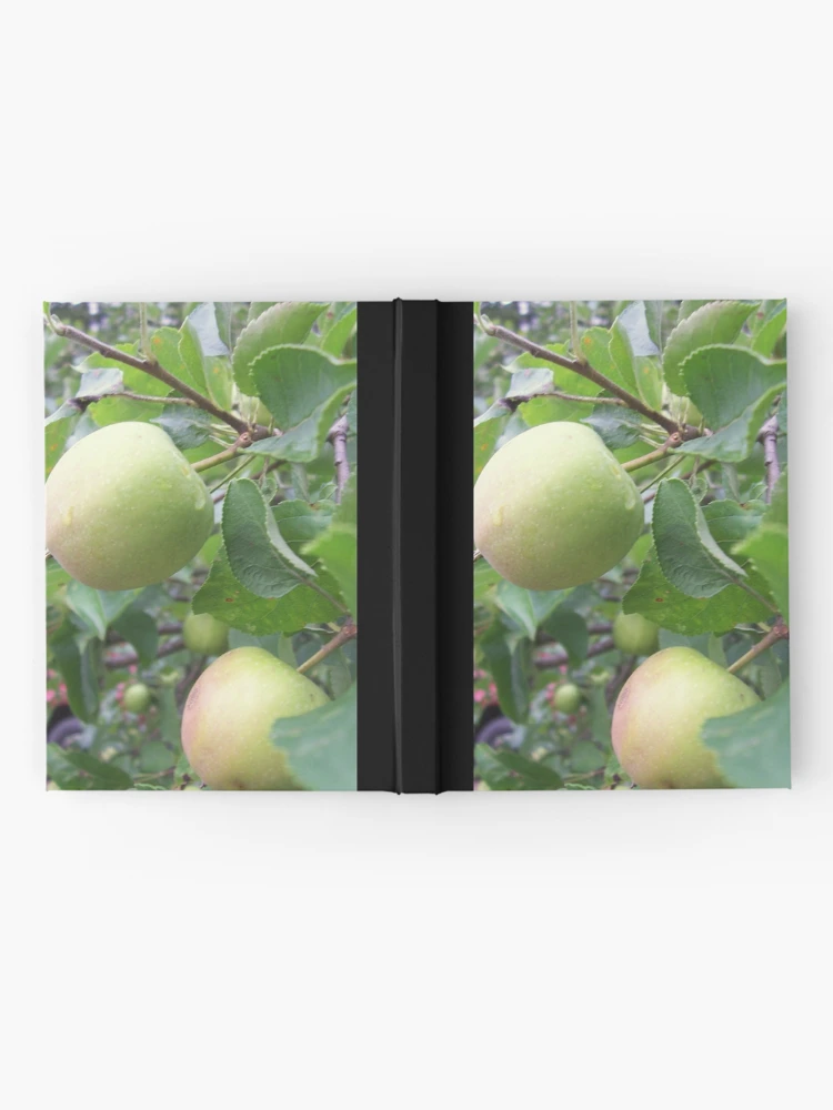 Thumbnail 2 of 3, Journal, Apple designed and sold by Raven Clark.