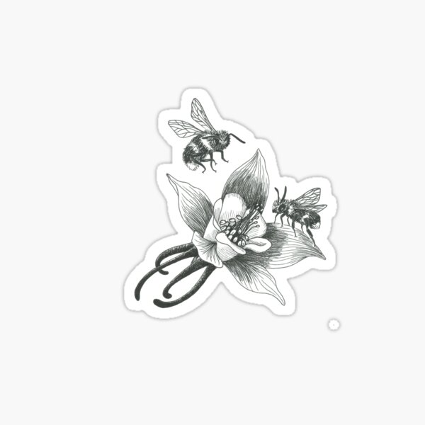 honey bees on wild aquilegia flowers on teal background Sticker