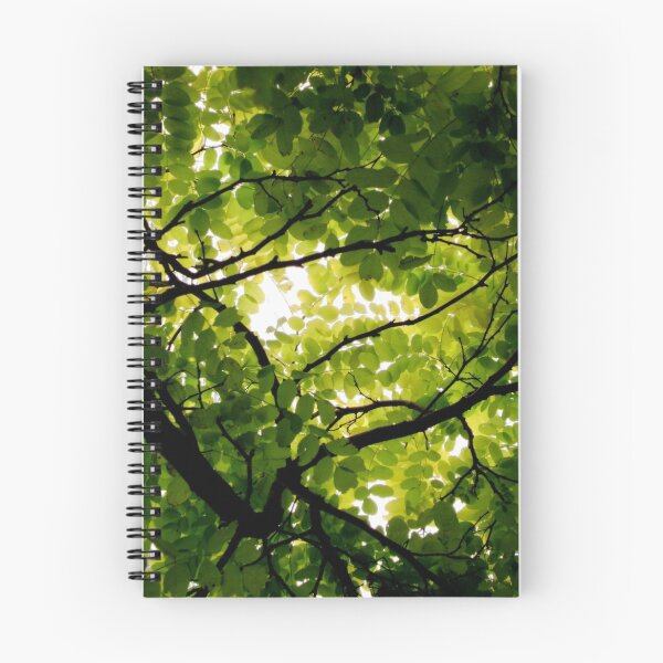 Item preview, Robinia designed and sold by Kitsmumma.