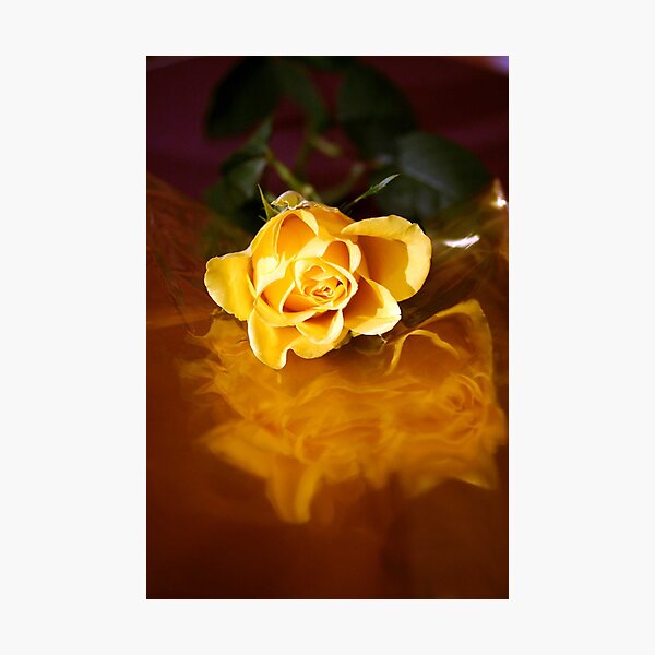 Item preview, yellow rose on cellophane designed and sold by Anna Goodchild.