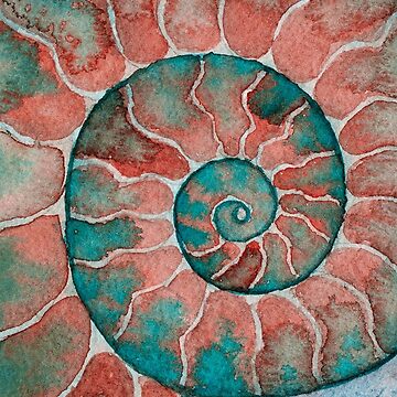 Artwork thumbnail, Pink and teal ammonite fossil watercolor by RedFinchDesigns