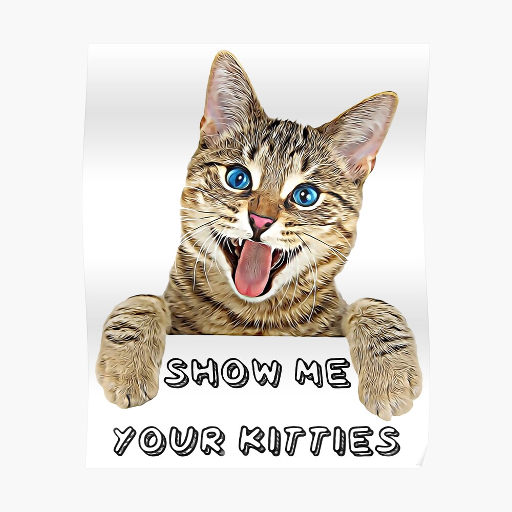 Show Me Your Kitties Funny Cat Meme Quote Fun Humor Gift Present Ideas Good Vibes Sticker By Avit1 Redbubble