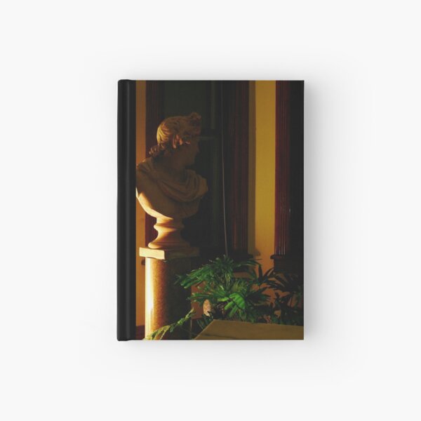 Midnight Muse Of Apollo Hardcover Journal