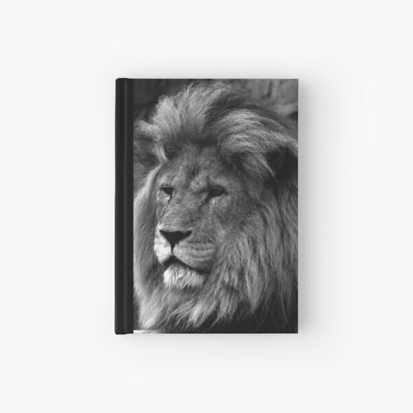 just sittin' chillin' Hardcover Journal