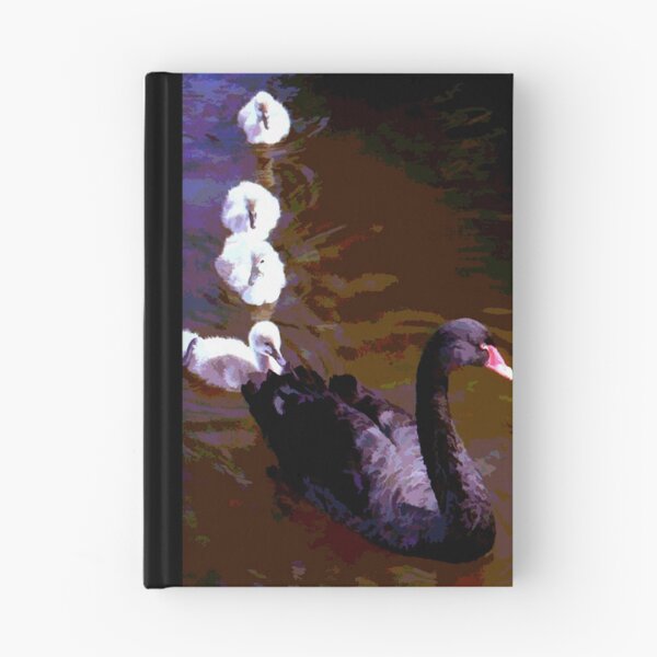 Item preview, Black Swan & Cygnets, Dawlish, Devon designed and sold by Peter Sandilands.