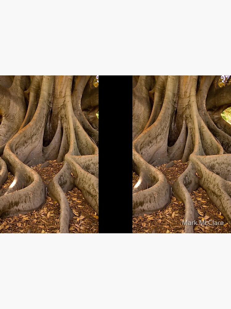 Golden Fig Tree by mcclare