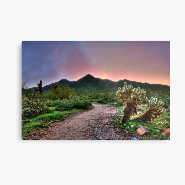 Sunrise Hike Metal Print