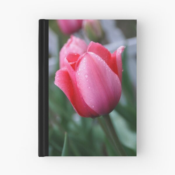 Artikelvorschau, Pink Tulip entworfen und verkauft von SnowflakeJen.