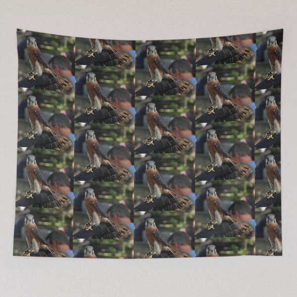 Item preview, American Kestrel designed and sold by 2CrabbySisters.