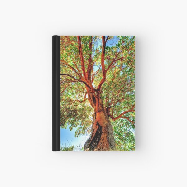 Shimmering Arbutus Hardcover Journal