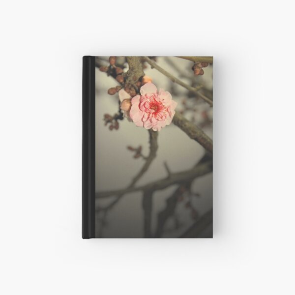 Focus Hardcover Journal