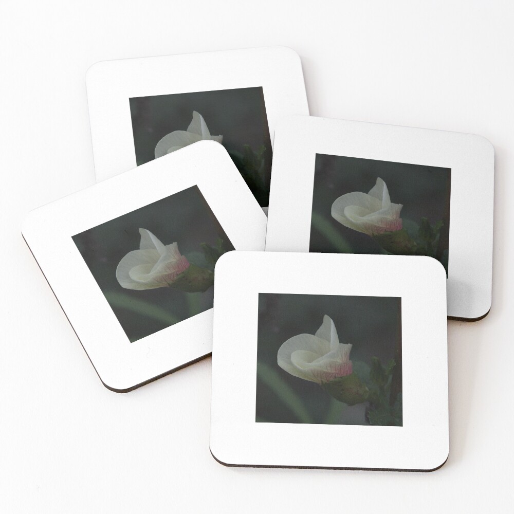 Item preview, Coasters (Set of 4) designed and sold by activespaceship.