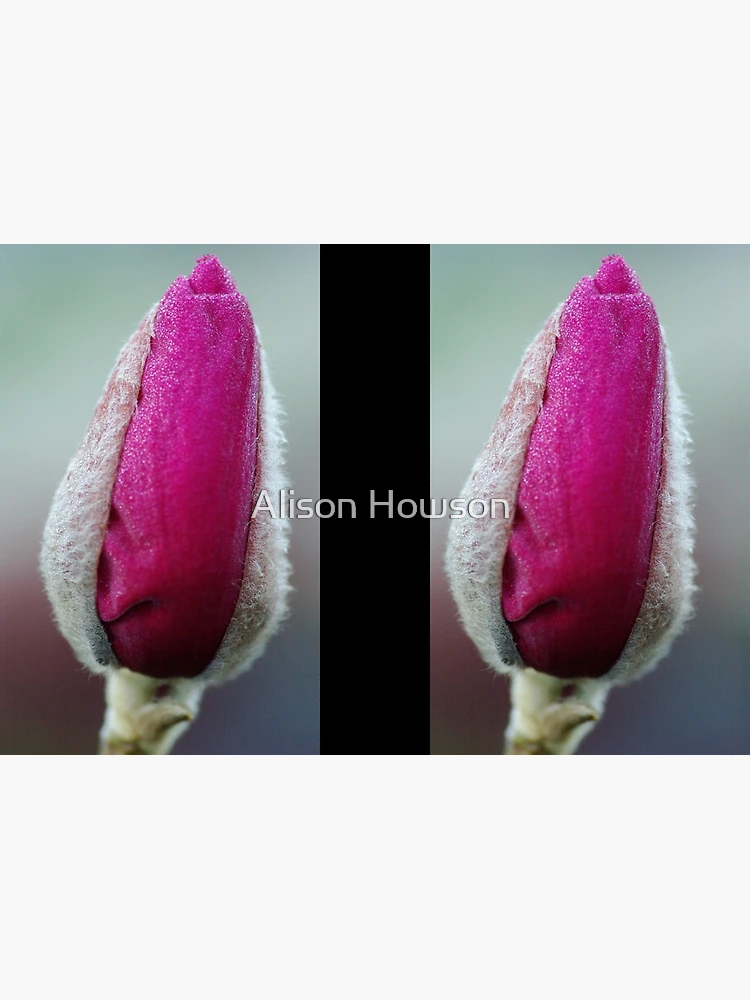 Thumbnail 3 of 3, Journal, Emerging designed and sold by Alison Howson.