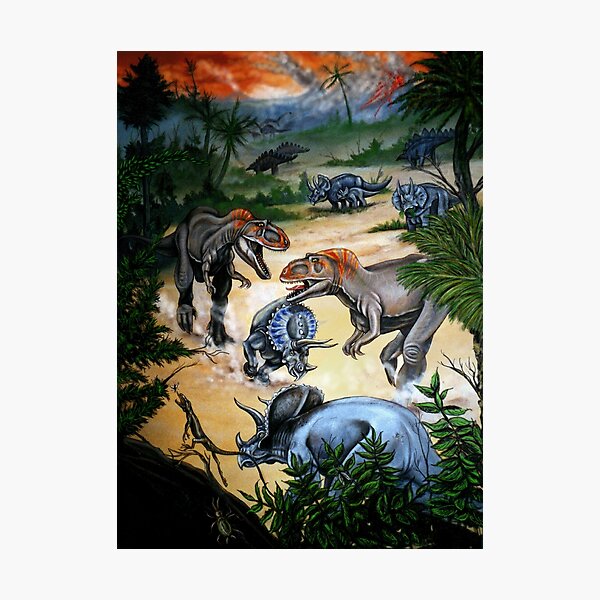 Photographic Print