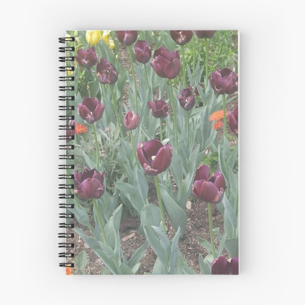 Item preview, Violetas moradas designed and sold by notis.