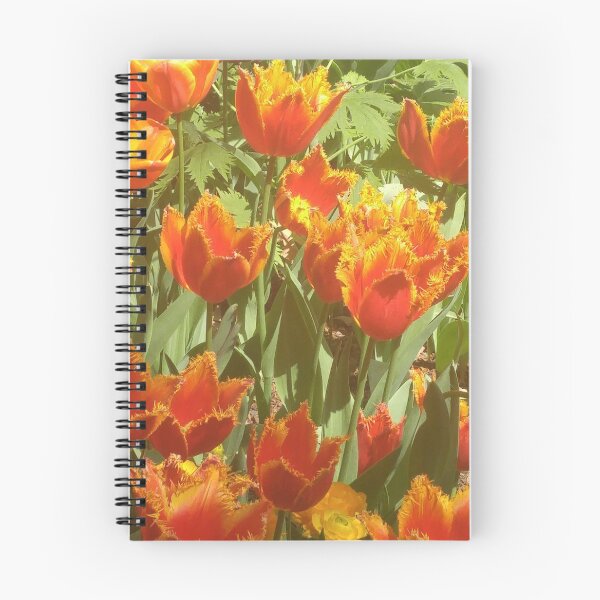 Item preview, Orange Tulips designed and sold by notis.