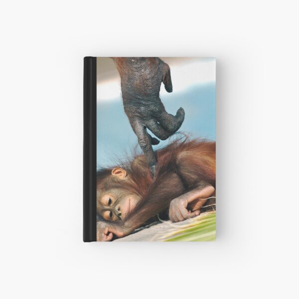 Wake Up Little One Hardcover Journal