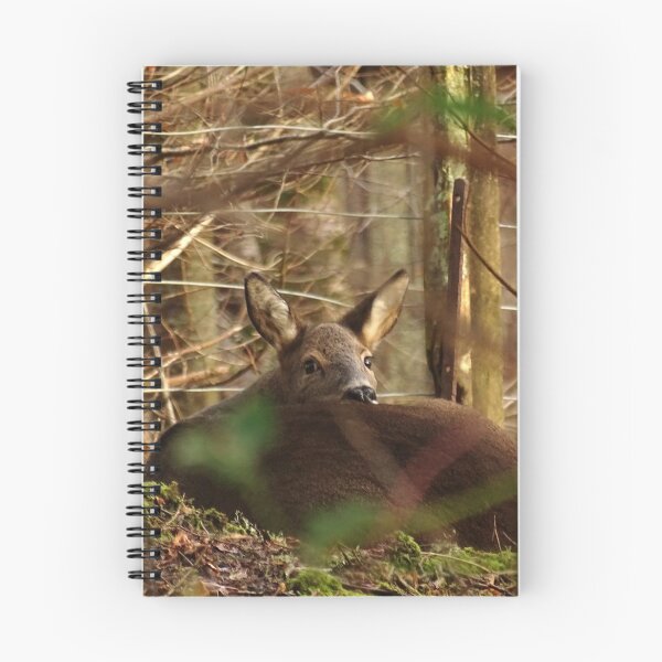 Item preview, Roe Deer  designed and sold by EllieofSkye.