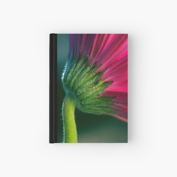 Natural Curve Hardcover Journal