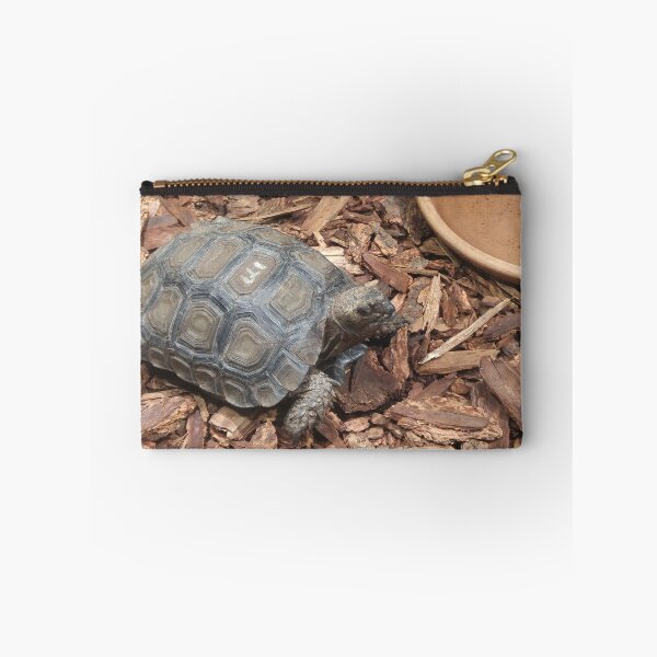 Item preview, Tortoise on Its way to Lunch  designed and sold by notis.