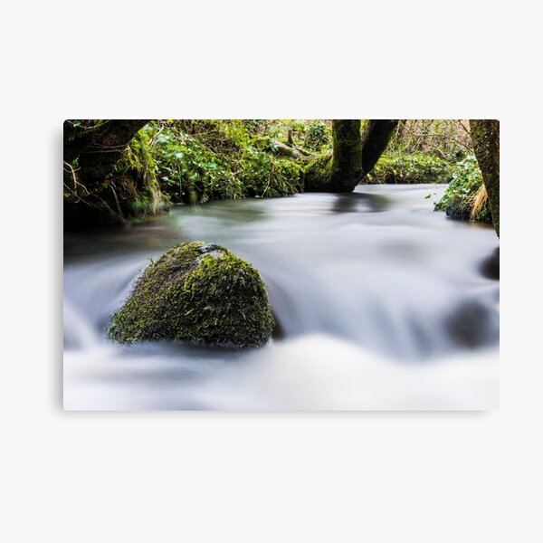 Flowing Water In A Stream Canvas Print