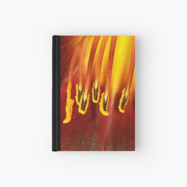 slippers Hardcover Journal