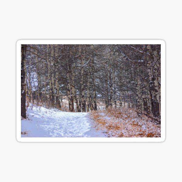Item preview, Winter Trail. designed and sold by CanadianWild418.