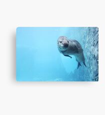 under water Canvas Print