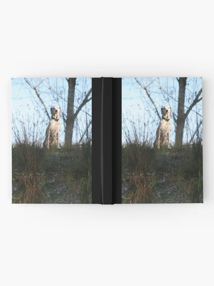 Thumbnail 2 of 3, Journal, Inversion designed and sold by Denzil.