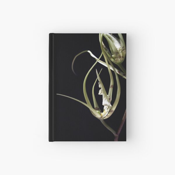Orchid 2 Hardcover Journal