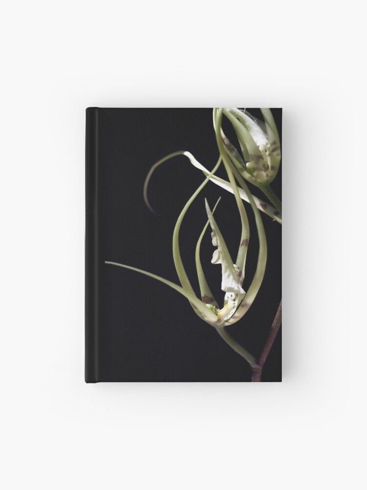 Thumbnail 1 of 3, Journal, Orchid 2 designed and sold by kirky101.