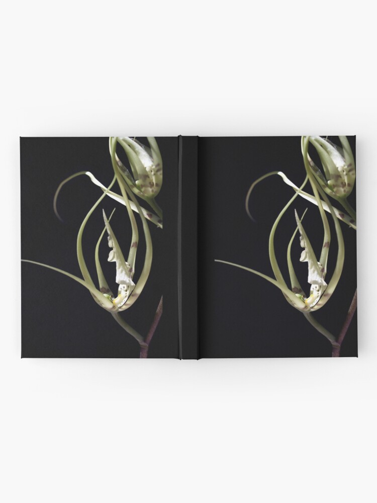 Thumbnail 2 of 3, Journal, Orchid 2 designed and sold by kirky101.