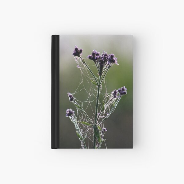 Morning Lace Hardcover Journal