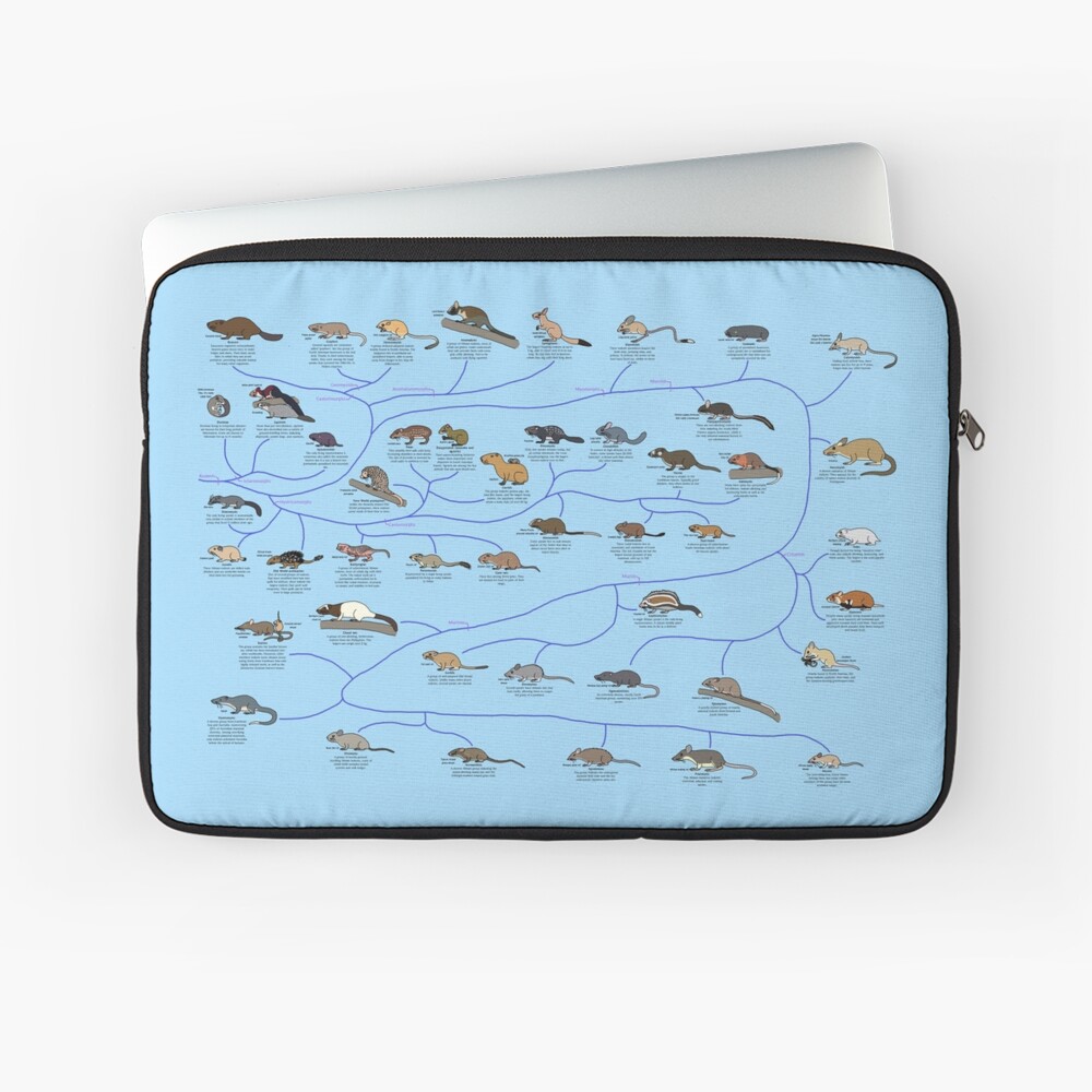 Item preview, Laptop Sleeve designed and sold by albertonykus.