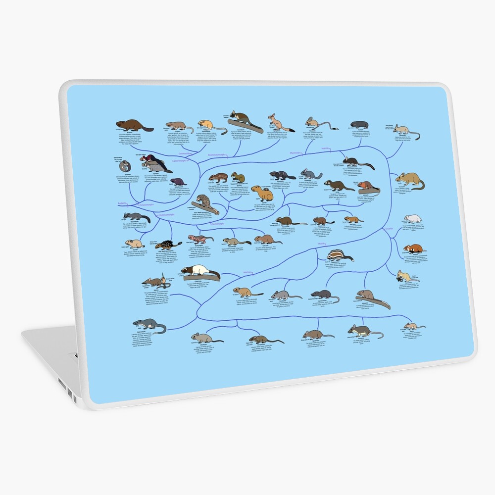 Item preview, Laptop Skin designed and sold by albertonykus.