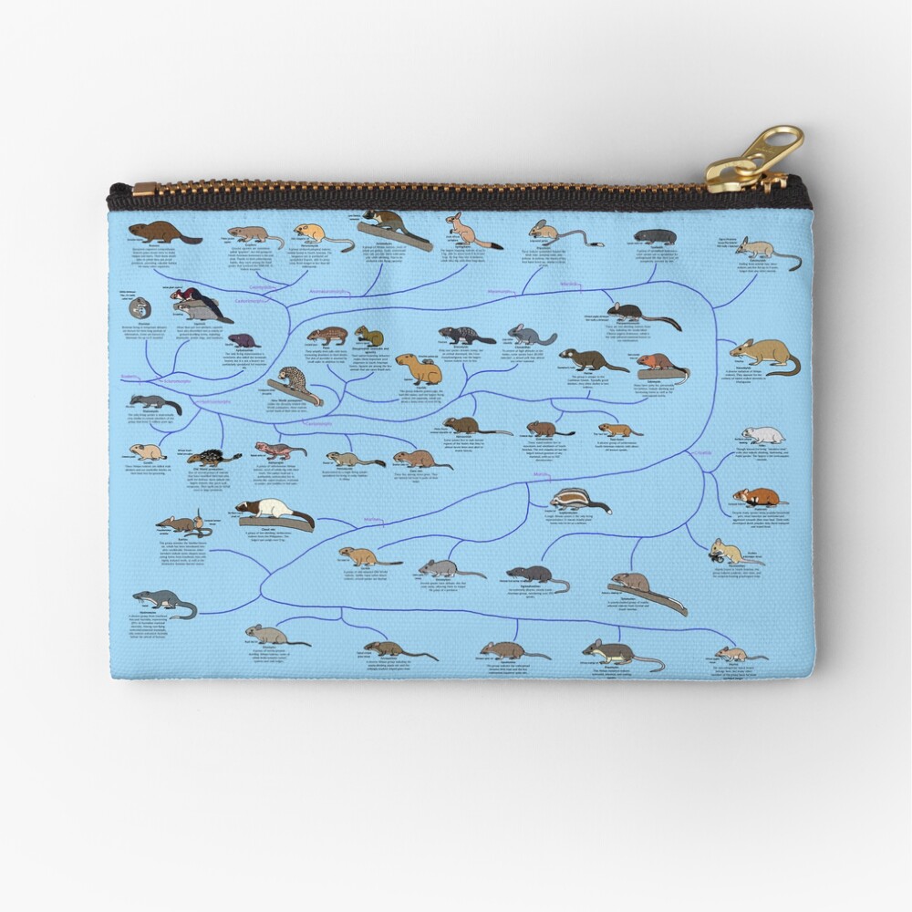 Item preview, Zipper Pouch designed and sold by albertonykus.
