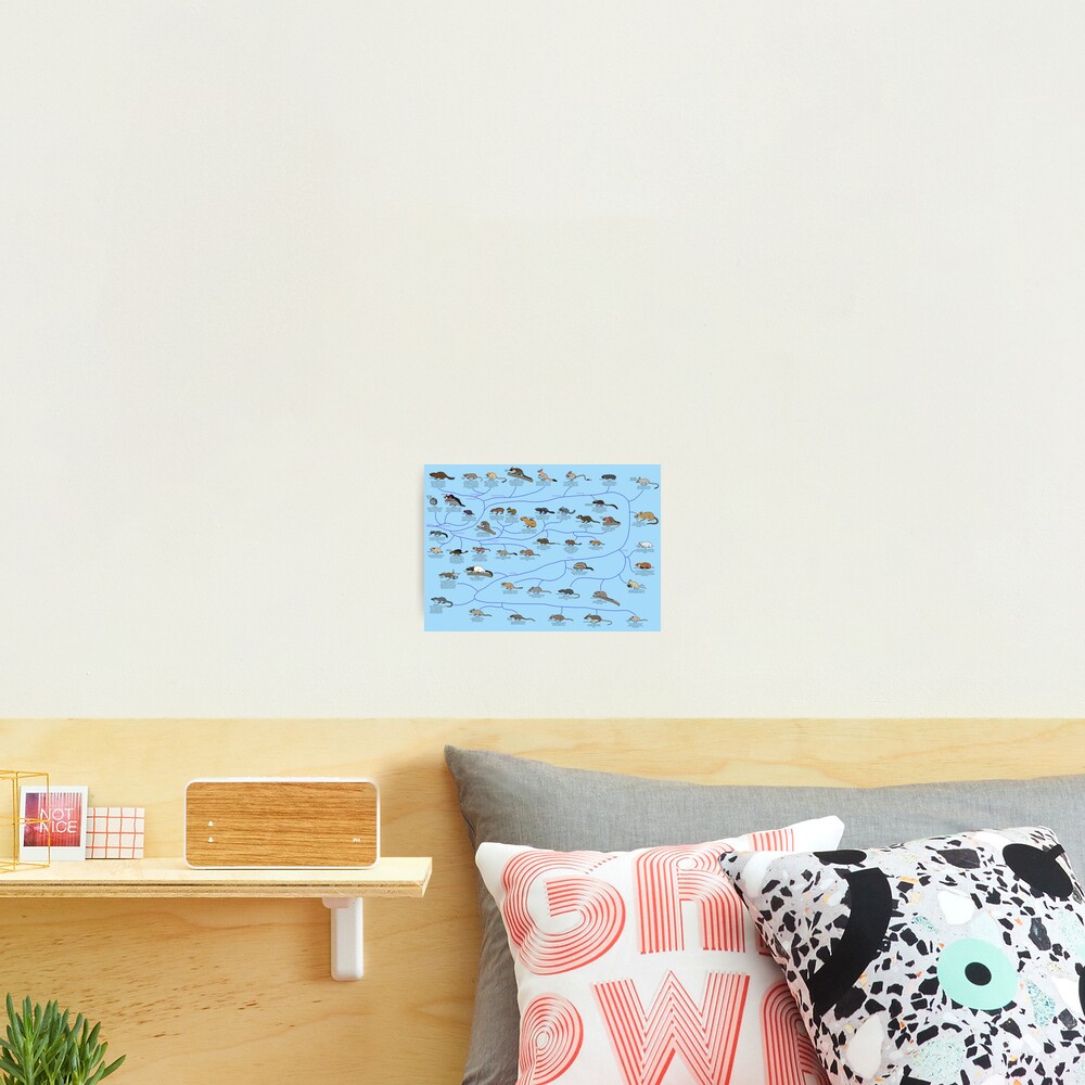 Item preview, Photographic Print designed and sold by albertonykus.