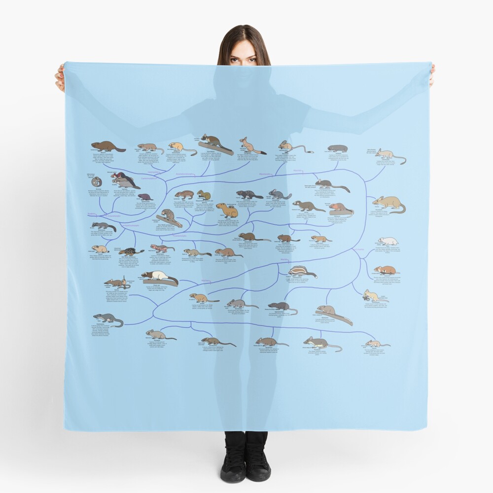 Item preview, Scarf designed and sold by albertonykus.