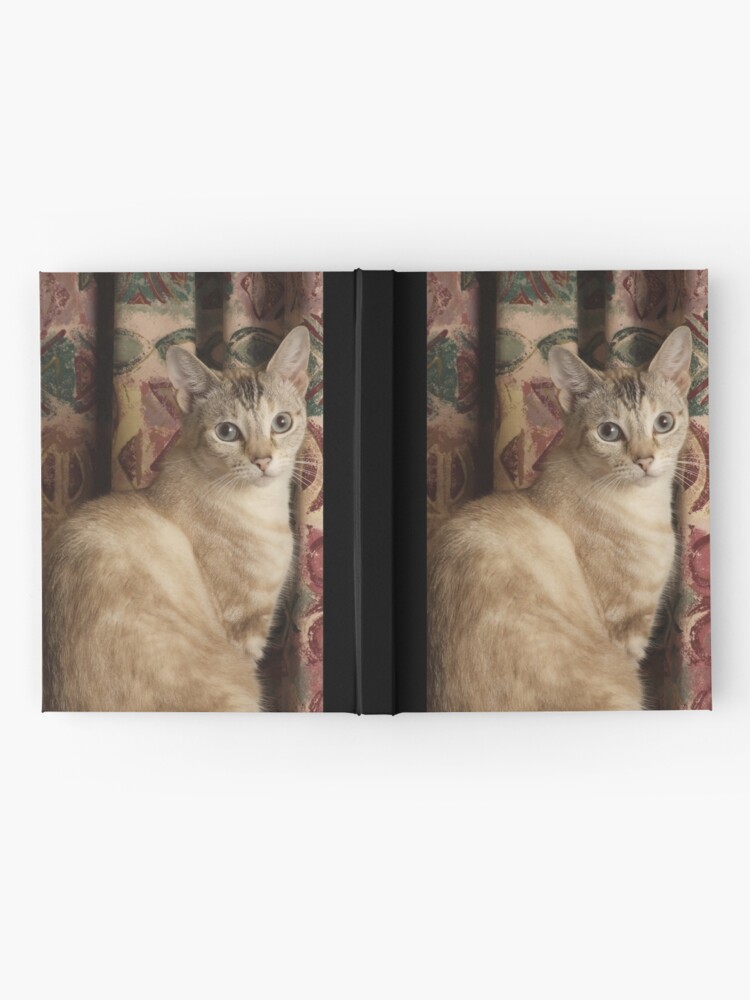 Alternate view of Myst Hardcover Journal