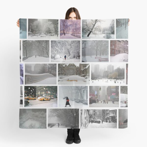 NY, New York, Snow, Collage, Adaptation, Winter, winter, snow, window, cold, outdoors, frost, nature, horizontal, no people, modern, water, non-urban scene, day Scarf