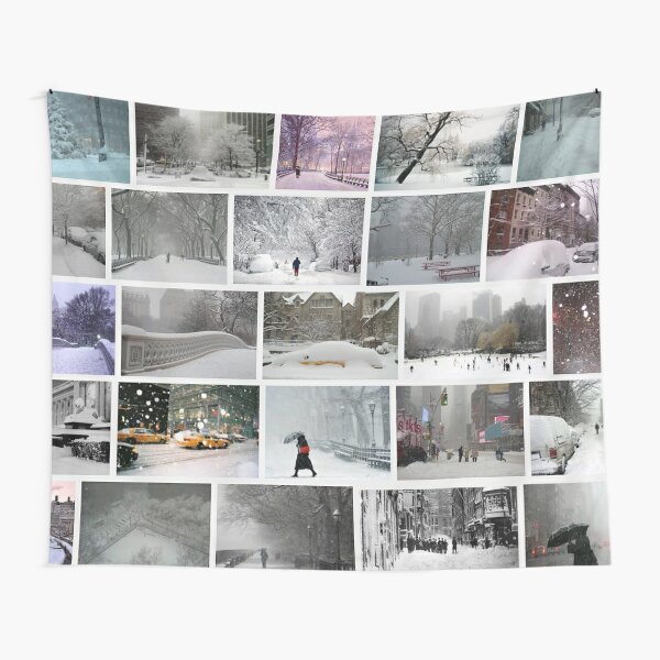 NY, New York, Snow, Collage, Adaptation, Winter, winter, snow, window, cold, outdoors, frost, nature, horizontal, no people, modern, water, non-urban scene, day Tapestry