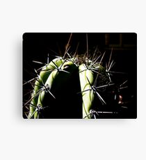 Spike Canvas Print