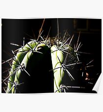 Spike Poster