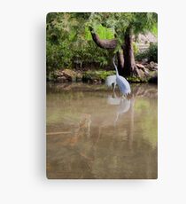 Twin Relfection Canvas Print